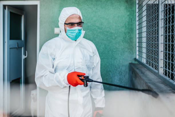 End of lease pest control service in Brisbane