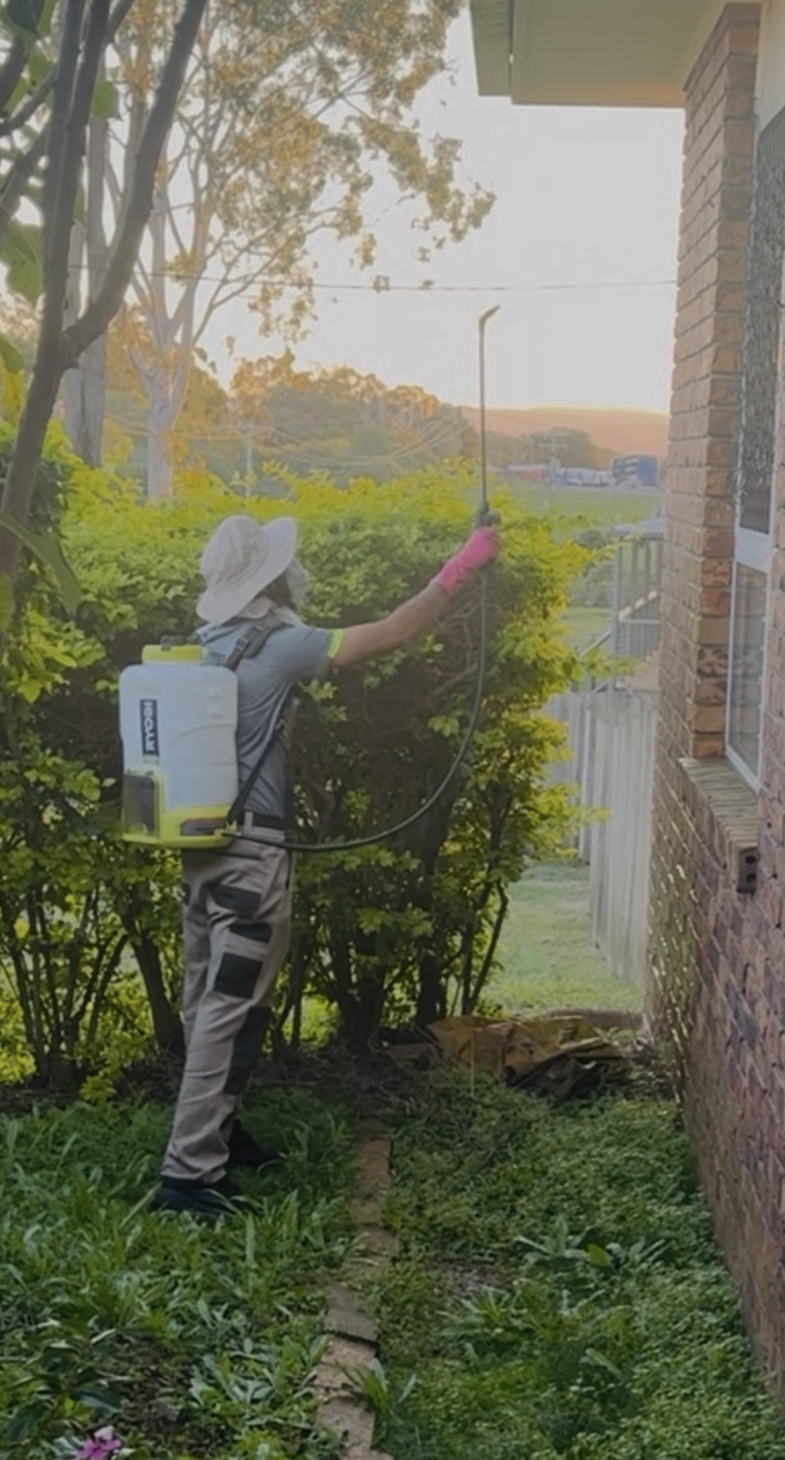 Pestigo technician applying an outdoor treatment to garden plants beside a home